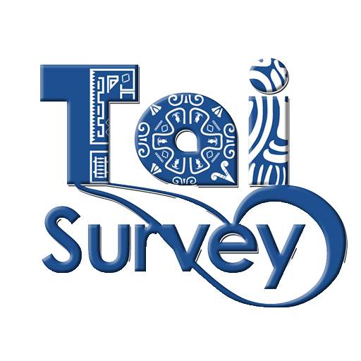 Tai Survey MX 13.0