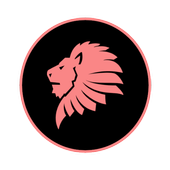 Maxi Browser - Very Light , Fast And Secure 2019 icon