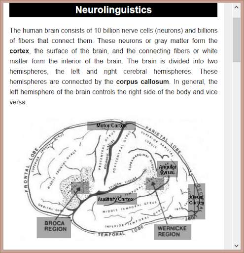 Basic Linguistics скриншот 20