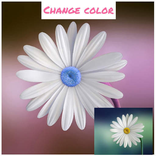 Photo editor - Cartoon Art Effect, Photo sticker screenshot 6