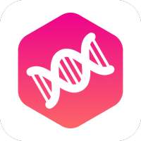DNA on 9Apps