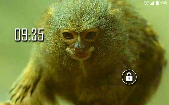 Animals for Kids Live WP screenshot 6