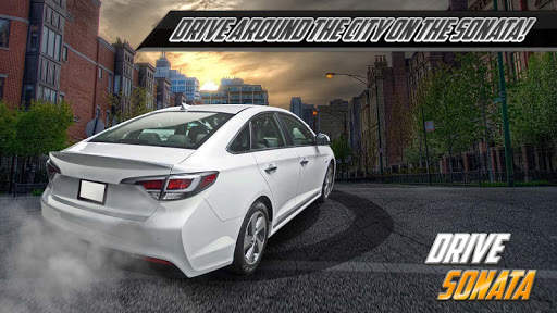 Drive Sonata Simulator screenshot 3