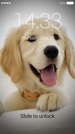 Golden Retriever Lock Screen screenshot 5