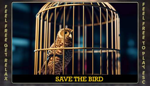 Escape Games - Bird Cage screenshot 3