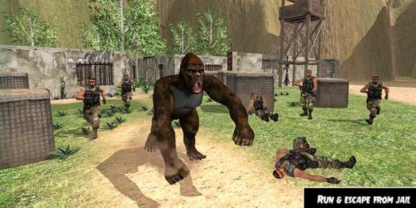 Wild Gorilla Jail Escape – Angry Ape Survival screenshot 4