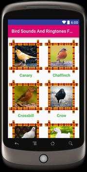 Bird Sounds & Ringtones Free screenshot 3