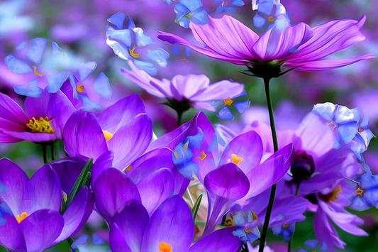Lotus 3D Live Wallpaper HD screenshot 3