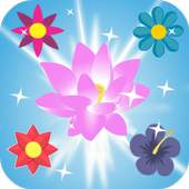 Flower Crush Mania - Match 3 Puzzle 1.0