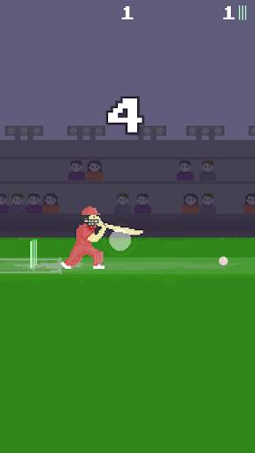 Pixel Cricket Game screenshot 3