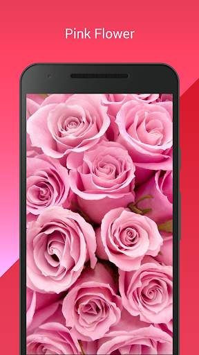 My Flowers Colors HD WALLPAPER screenshot 6