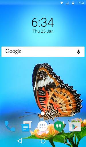 Tiger Butterfly Keyboard   Live Wallpaper screenshot 6