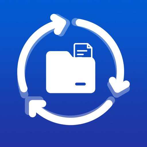 MSD File Recovery 1.0