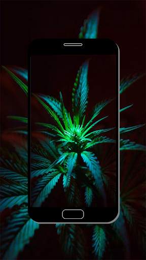 Marijuana Wallpaper screenshot 4