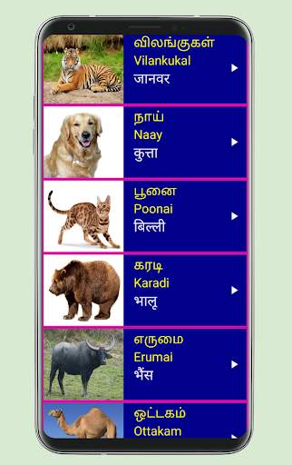 Learn Tamil From Hindi screenshot 5