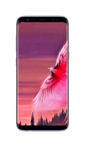 Phoenix Wallpapers HD screenshot 6