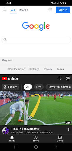Split Screen Browser screenshot 1