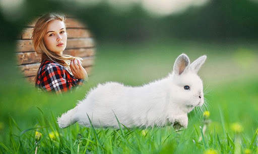 Rabbit Photo Frames screenshot 4
