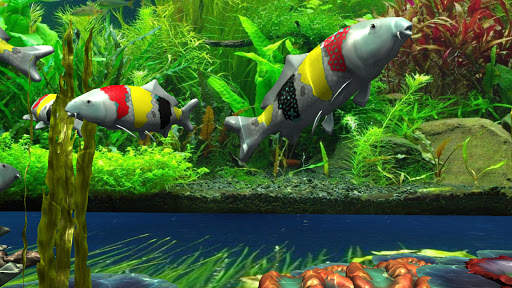 3D Koi Special Live Wallpaper Pro screenshot 8