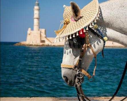 Funny Horses Jigsaw Puzzles screenshot 4