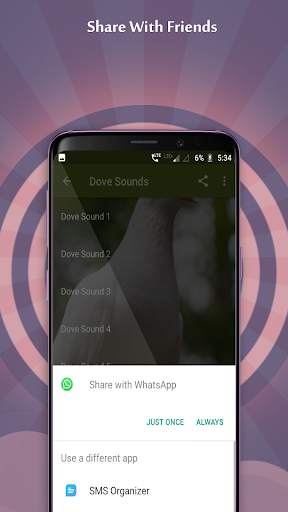 Dove Sounds 5 تصوير الشاشة
