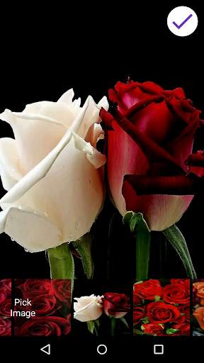 Roses Lock Screen screenshot 5