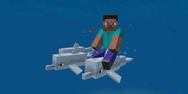 MOD Dolphin Riding Addon screenshot 1