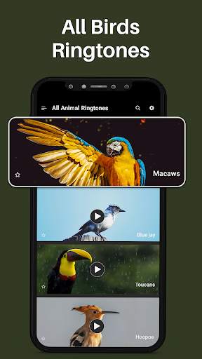 Animal Ringtones & Bird Sounds screenshot 2