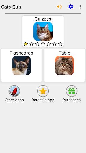 Cats Quiz Guess Popular Breeds screenshot 3