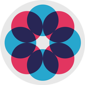 Flying Camera icon