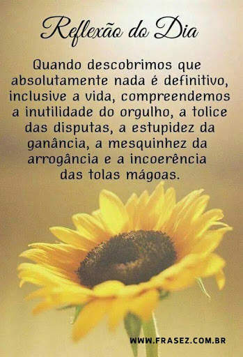 🌹bom dia fotos gifs e frases 🌹 screenshot 3