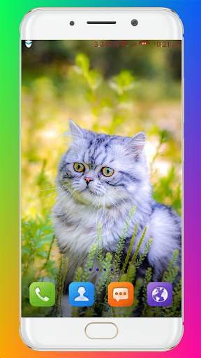 Cat Wallpaper HD screenshot 9