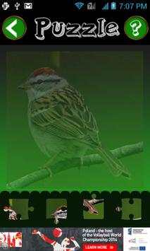 Bird Jigsaw Puzzle screenshot 3