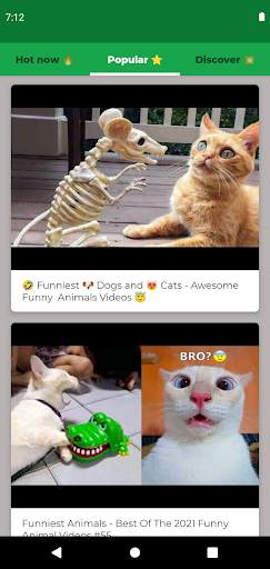 Funny Animal Videos screenshot 6