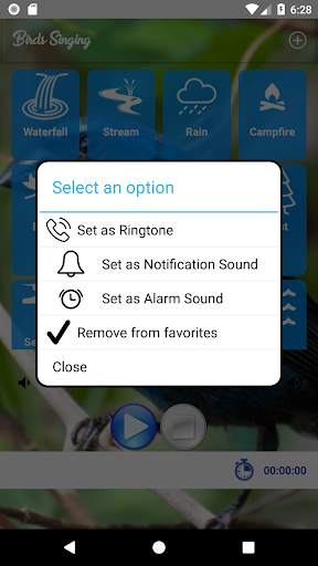 Birds Singing screenshot 3