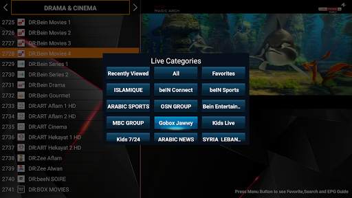 IBO STB PLAYER screenshot 4