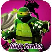 Streetplay Ninja Turtles Fight 1.0