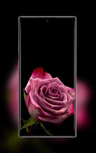 AMOLED Wallpapers & GIFs screenshot 4