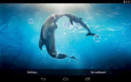 Dolphins Live Wallpaper screenshot 6