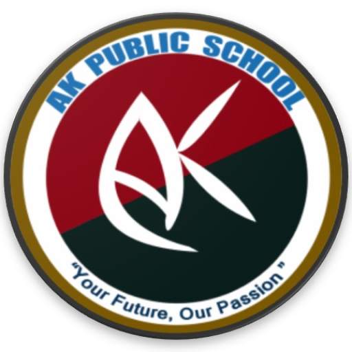 DR AK PUBLIC SCHOOL 0.10.1