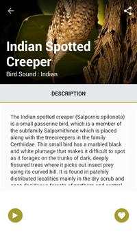 Indian Bird Calls screenshot 5