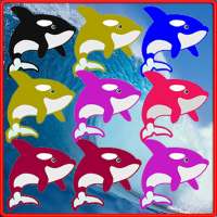 Killer Whale Match 3 Game logo