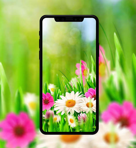 Flower Wallpapers 4K скриншот 5