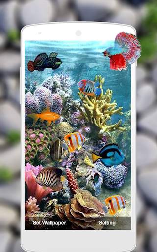 Fish Live Wallpaper Machhali Live Wallpaper screenshot 1