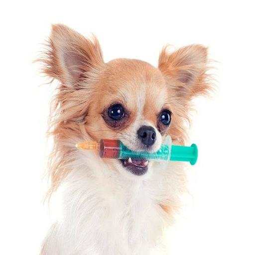 Dog Vaccinations 1.0
