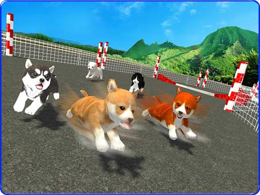 Cute Puppy Dog Racing Sim 2017 screenshot 8
