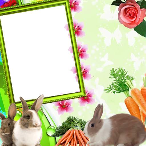 Rabbit Insta DP : Wild Insta DP 4 تصوير الشاشة