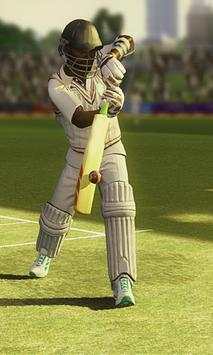 Cricket 2019 screenshot 4