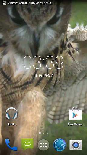 Flying Owl Live Wallpaper screenshot 5