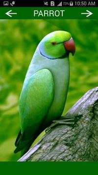 Birds Sounds स्क्रीनशॉट 5